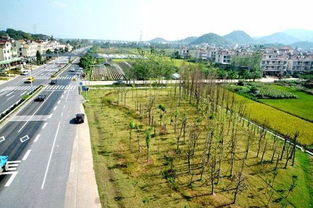 浙江公路鐵路沿線顏值大比拼，你猜麗水城鄉市容管理排第幾？