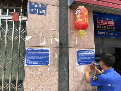 巢湖市城管局汛后全力打好城鄉市容環衛攻堅戰