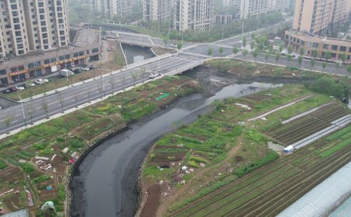城鄉市容管理再亮劍 省級督察組通報銅陵、宣城、蕪湖、安慶等地問題