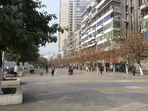 從“濱河游園”看通川區(qū)城鄉(xiāng)市容管理新篇章
